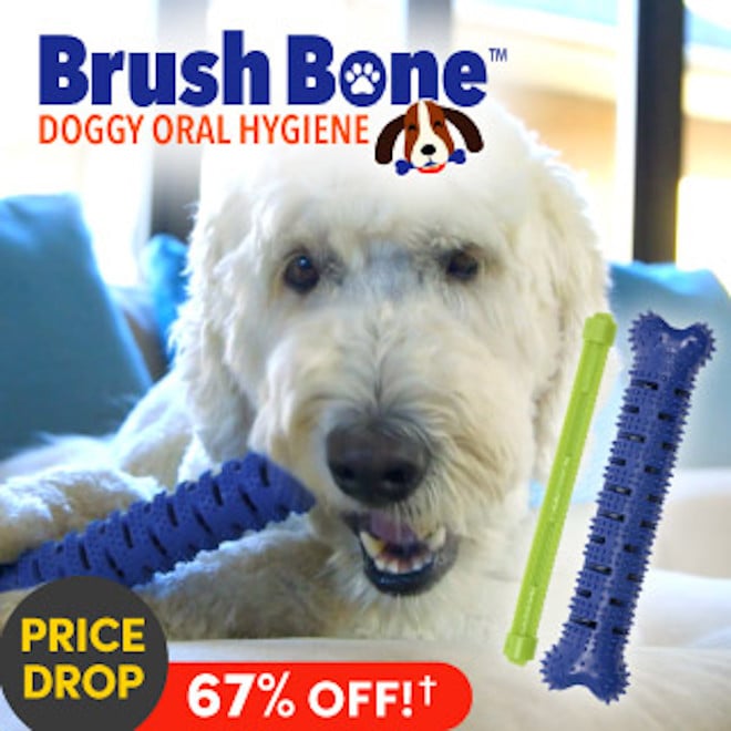 Brush Bone 1