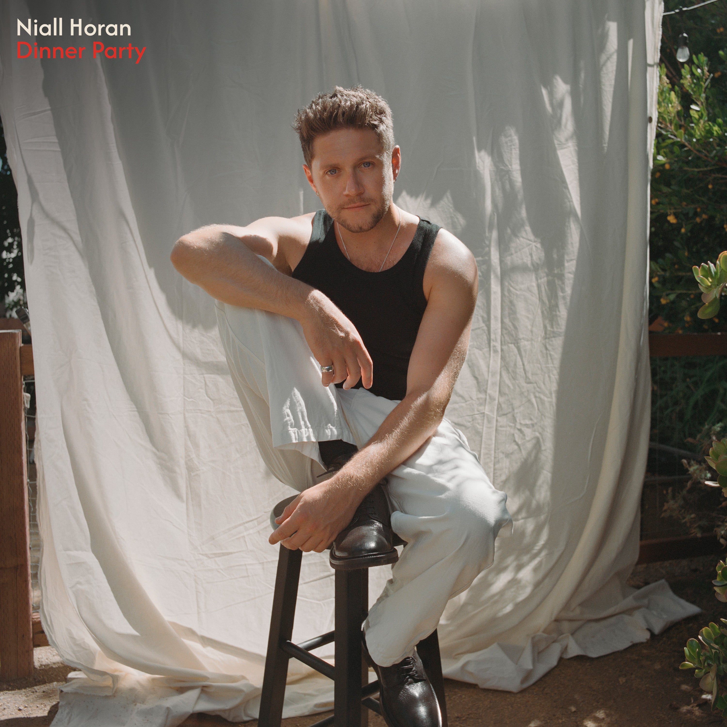 Dinner Party (Golden Discs Exclusive) - Niall Horan [CD]