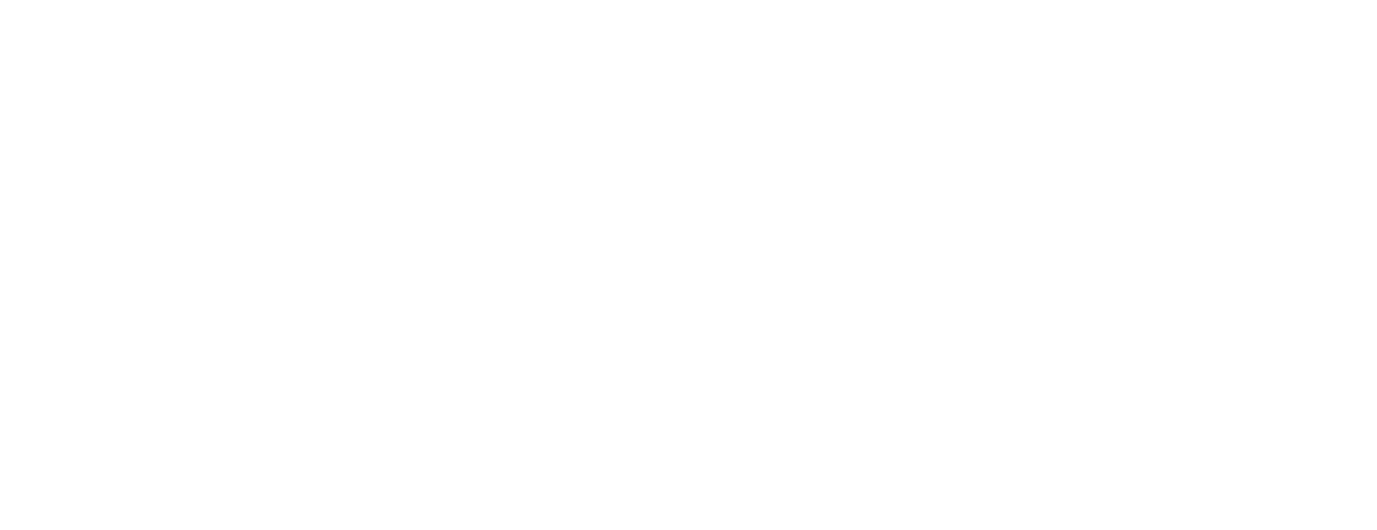 logo Notino