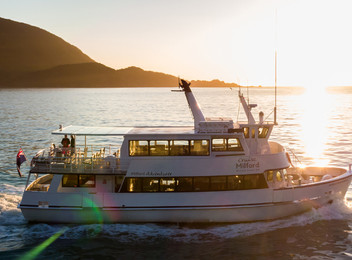 Full-Day Milford Sound Cruise Tour