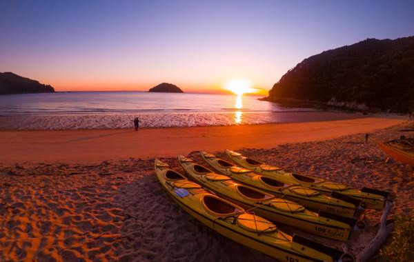 Abel Tasman Kayak Experience