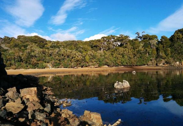 Three-Day Stewart Island Exhale