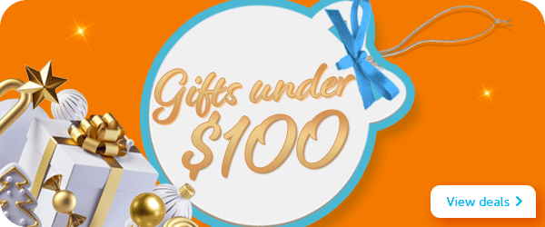 Under $100 Gifts