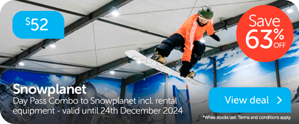 Snowplanet Day Pass