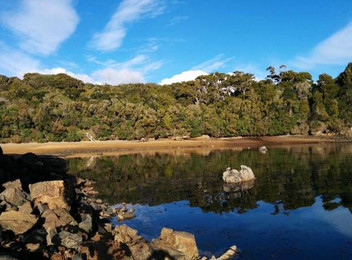 Three-Day Stewart Island Exhale