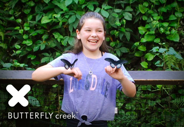 Entry to Butterfly Creek