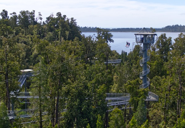 West Coast Treetop Walkway Pass