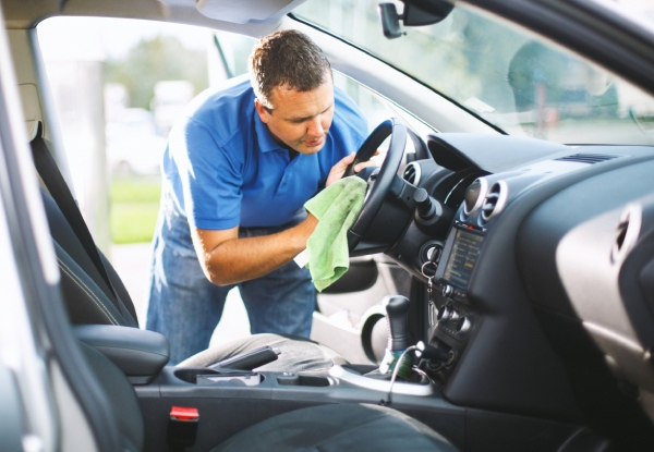 Vehicle Grooming Service Albany