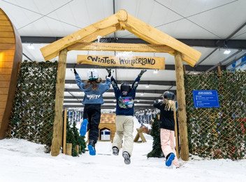 One-Hour Winter Wonderland Pass