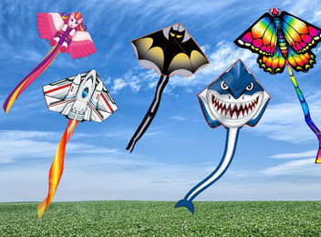 Kids Huge Delta Kite with Tail