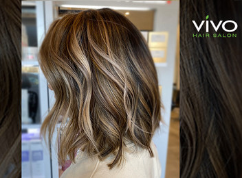 Half Head Highlights Hair Package