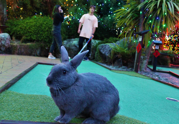 Round of Mini Golf with the Rabbits