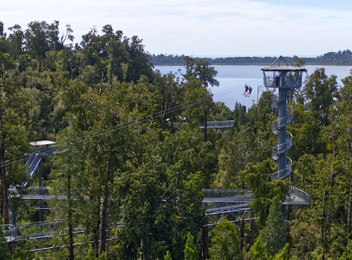 West Coast Treetop Walkway Pass