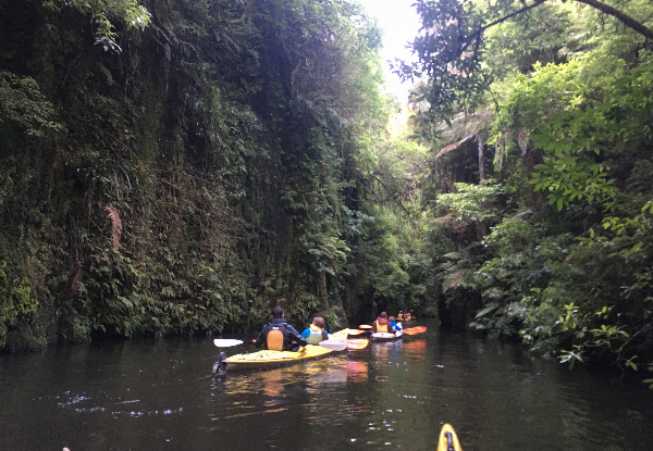 Three-Hour Glow Worm Kayak Trip