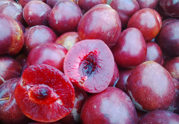 4kg Hawke's Bay Omega Plums