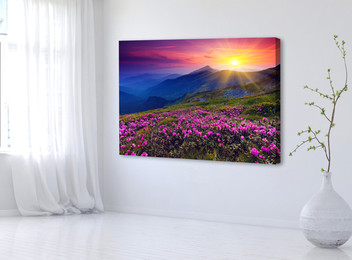 Large Photo Canvas