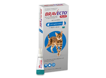 Bravecto Plus Cat Flea Solution