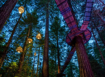 Redwoods Adventure Combo Experience