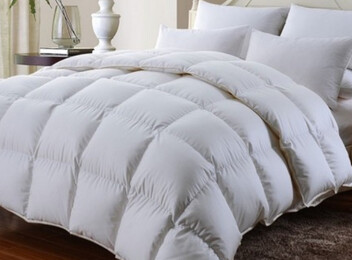 Winter 600GSM Duvet Inner