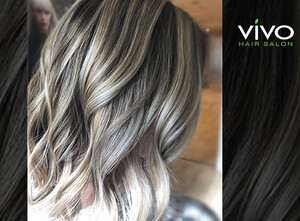 Vivo Premium Hairdressing Package