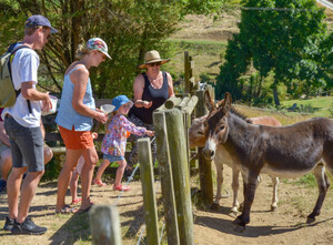Bullswool Heritage Farm Admission