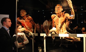 Tickets Body Worlds Vital Brugge