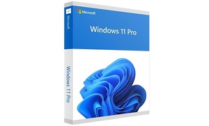 Windows 11 Pro de Microsoft