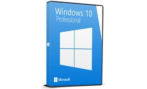 Windows 10 Professional