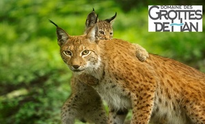 Aventurez-vous au cœur de la Grotte de Han et de son Parc Animalier