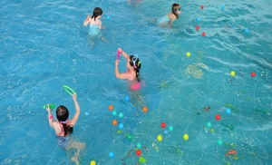 Entrées au choix au parc aquatique Entrées au choix au parc aquatique