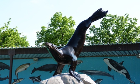 Plongez dans une journée d'aventure au parc Mont Mosan Plongez dans une journée d'aventure au parc Mont Mosan