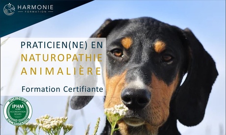 Practicien(ne) en naturopathie animalière avec Harmonie Formation 