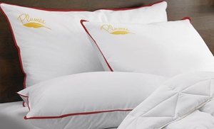 Oreillers à plumes 100% coton de Sampur