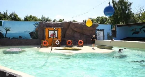 Entrée pour le Mont Mosan : attractions, jeux géants et zoo
