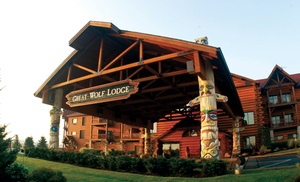 Great Wolf Lodge Waterpark Hotel