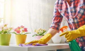 House Cleaning Services from Cozy Maid