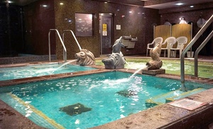 General Spa Admission at King Spa and Sauna Chicago