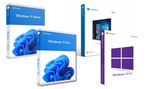 Microsoft Windows 10/11 Pro or Home Lifetime OS Product Up to 91% Off