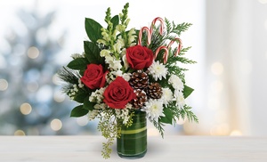 Express Your Emotions with Blooms Today: Holiday Flower Collection!