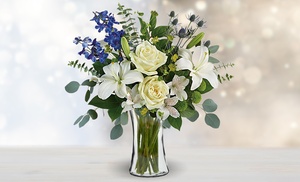 Express Your Emotions with Blooms Today: Winter Flower Collection!