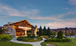 Great Wolf Lodge Water Park Resort near Charlotte