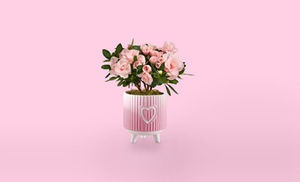 $40 or $50 Toward Eye-Catching House Plants from ProFlowers