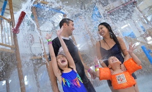 Single-Day Waterpark Passes at Great Wolf Lodge - Up to 29% off