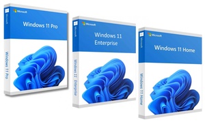 Windows 11 Home, Pro, or Enterprise Lifetime Activation Key with Digital Download