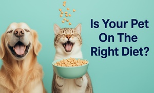 Up to 56% Off At-Home Pet Food Sensitivity Testing