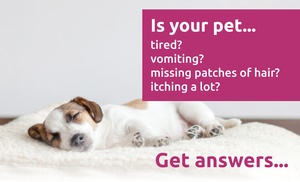 Up to 64% Off At-Home Comprehensive Sensitivity Test for Your Pet