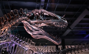 Admission or Membership (NEW) to Houston Museum of Natural Science Admission or Membership (NEW) to Houston Museum of Natural Science