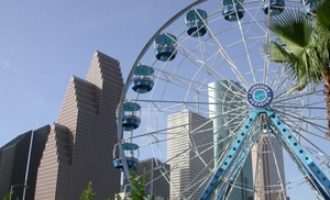 Explore Houston Together: Pogo Passes for 1-6 People at Pogo Pass Explore Houston Together: Pogo Passes for 1-6 People at Pogo Pass