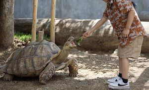 Admission to Houston Aquarium & Animal Adventure plus Arcade Credits! Admission to Houston Aquarium & Animal Adventure plus Arcade Credits!