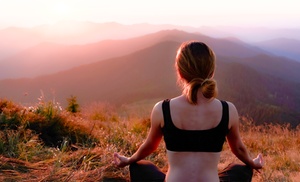 Explore a 30-Min Intro or 40-Min Deep Guided Meditation Session